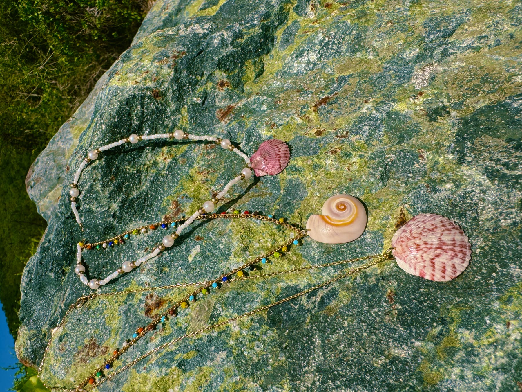 Shells
