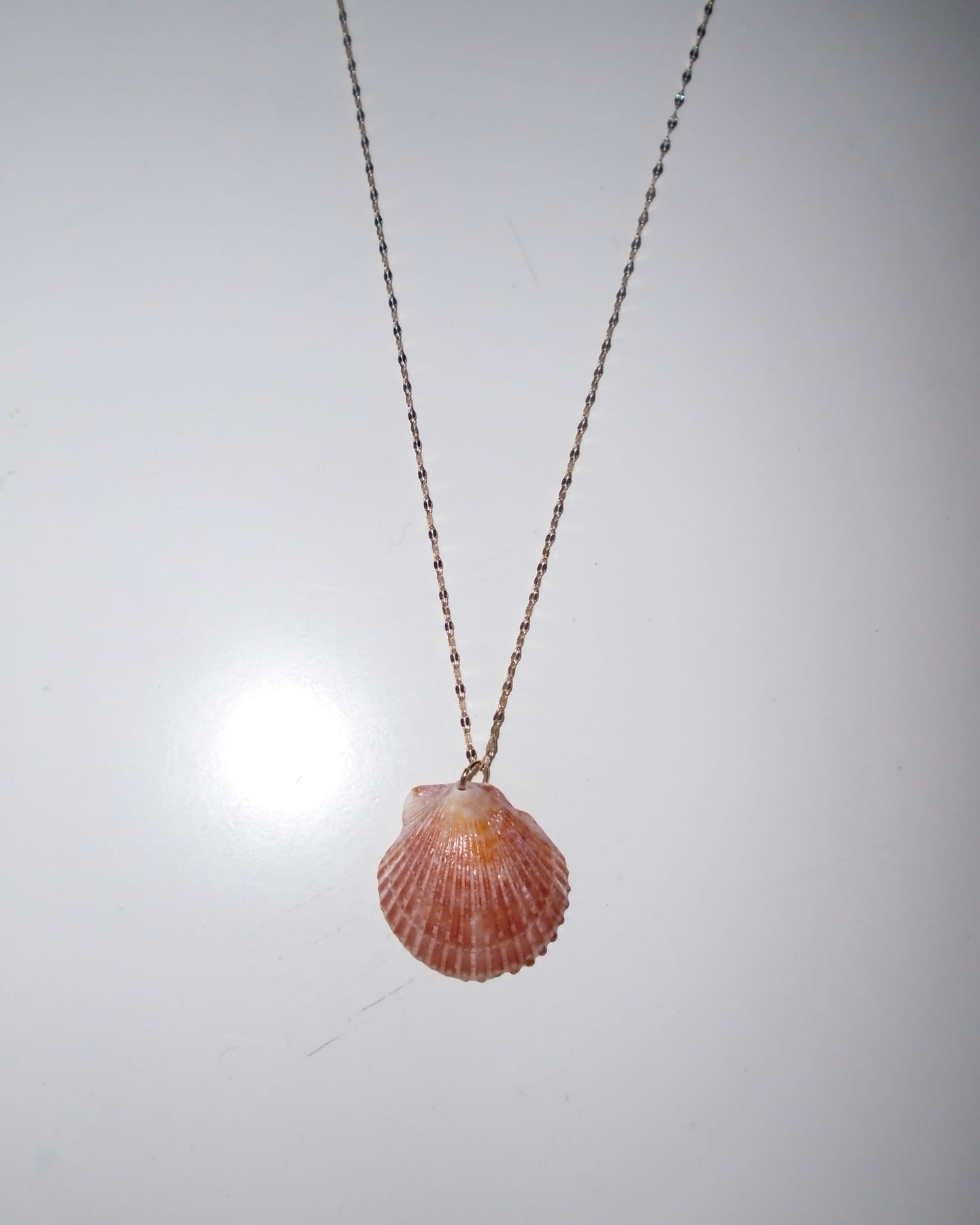 Painted Lady Shell Necklace