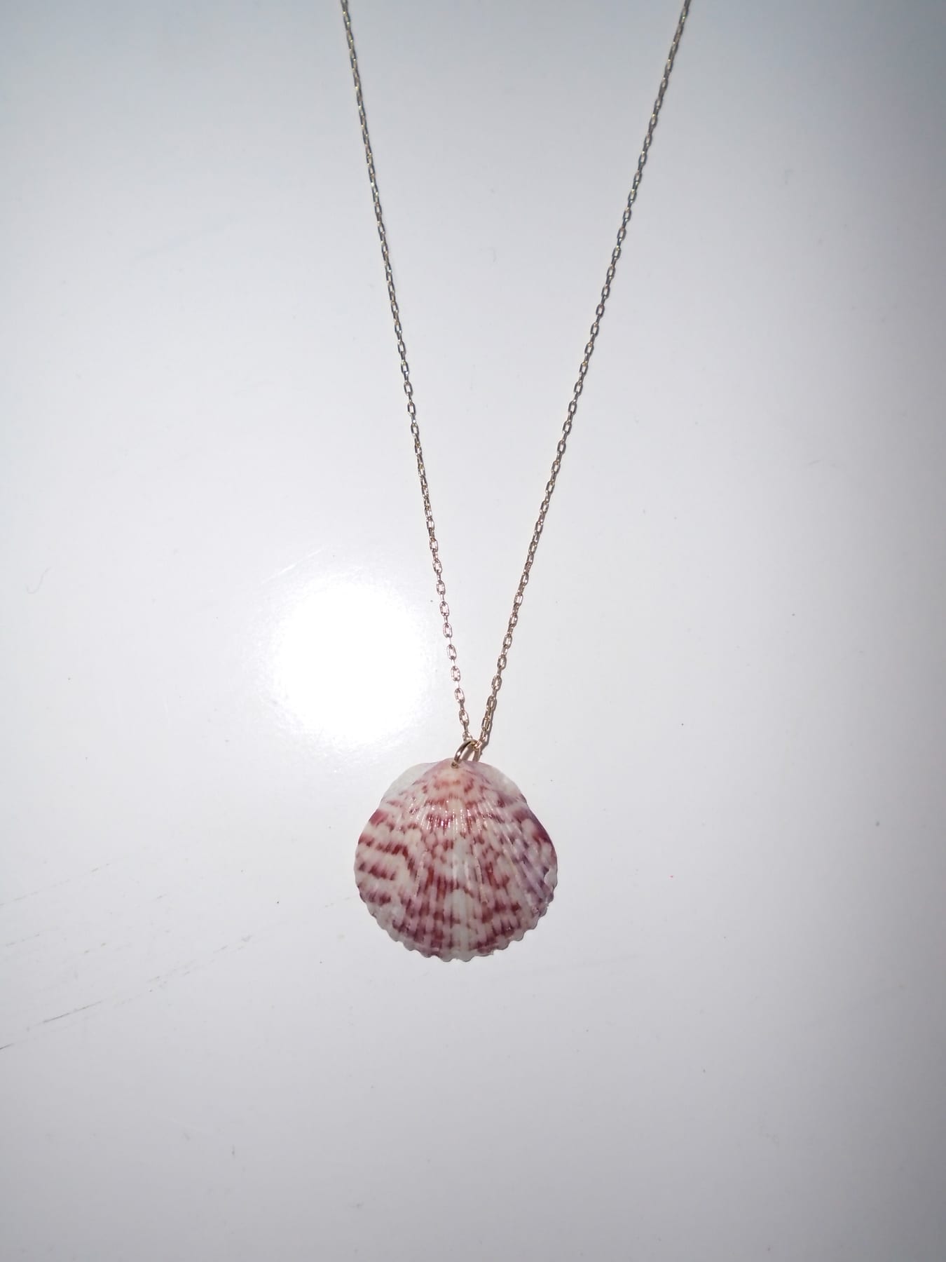 Painted Lady Shell Necklace